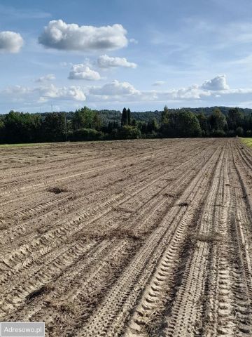 Działka rolna Brzoskwinia. Zdjęcie 1