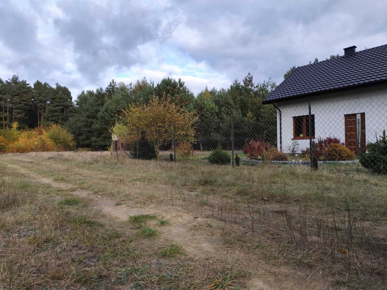 Działka rolno-budowlana Strzegowo. Zdjęcie 3