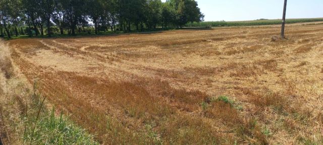 Działka rolno-budowlana Rozbórz. Zdjęcie 1