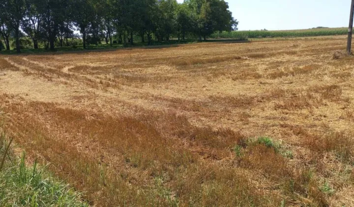 Działka rolno-budowlana Rozbórz