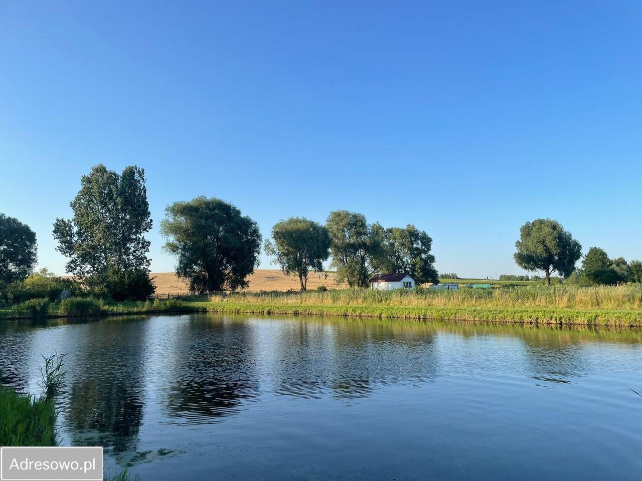 Działka siedliskowa Sulnowo. Zdjęcie 7