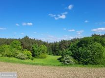 Działka budowlana Tymawa. Zdjęcie 4