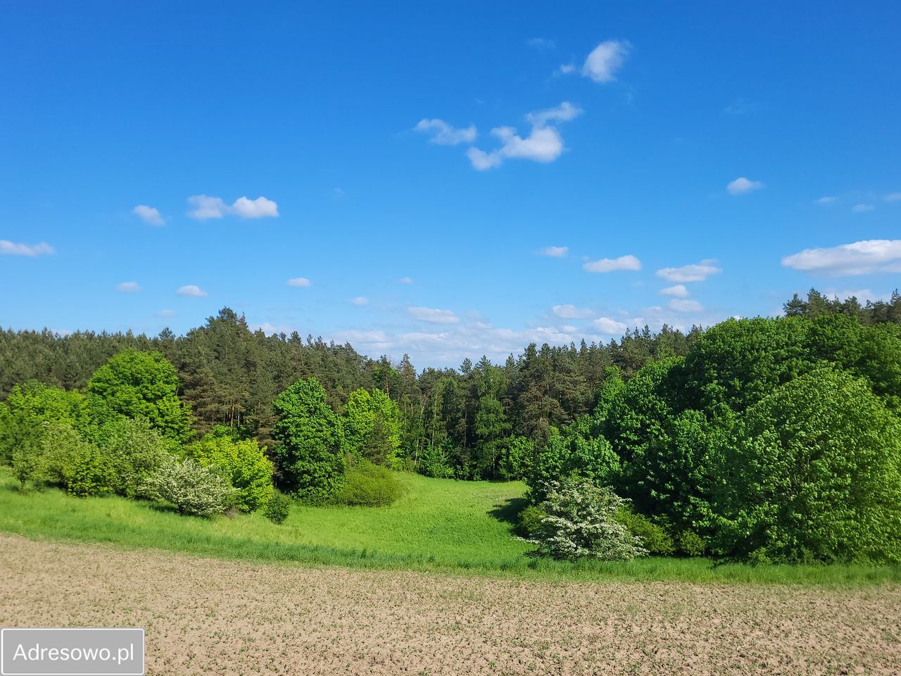 Działka budowlana Tymawa. Zdjęcie 5