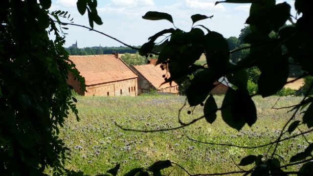 Działka siedliskowa Rogów Wołowski. Zdjęcie 3