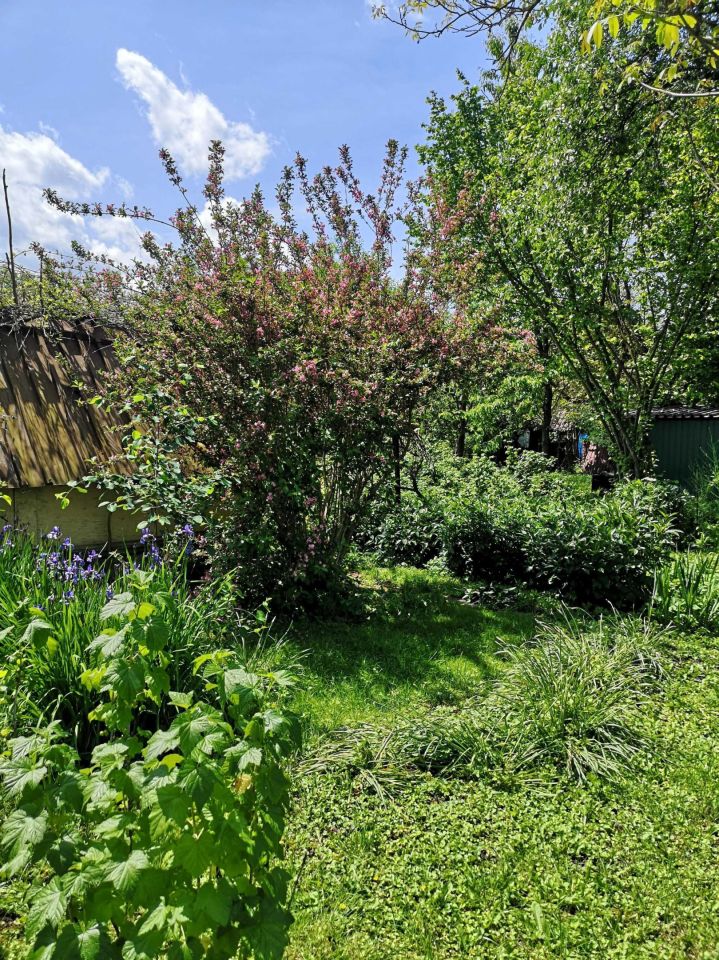 Działka rod Rzeszów Zalesie. Zdjęcie 2