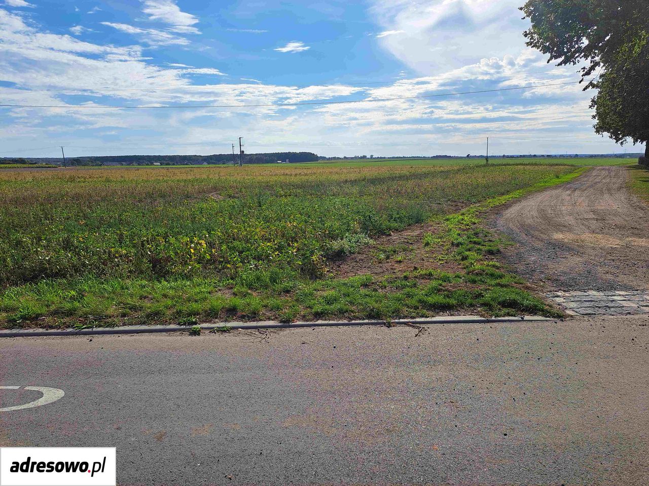 Działka inwestycyjna Świerczów, ul. Opolska. Zdjęcie 7