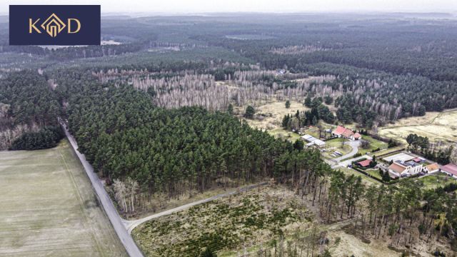 Działka inwestycyjna Dąbrowa Nowa. Zdjęcie 5