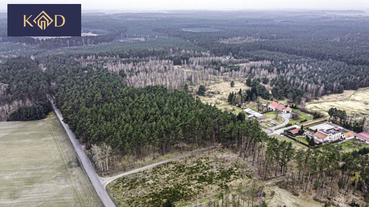Działka inwestycyjna Dąbrowa Nowa. Zdjęcie 5