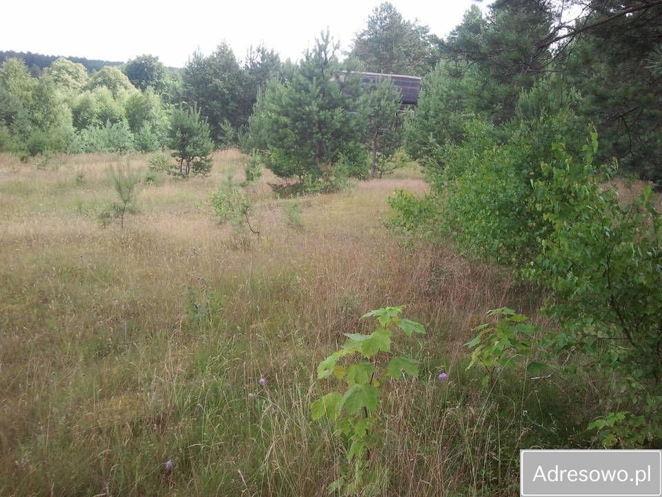 Działka budowlana Parchowo Parchowski Młyn. Zdjęcie 10