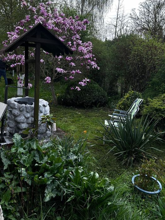 Działka rod Szczecin Warszewo. Zdjęcie 4