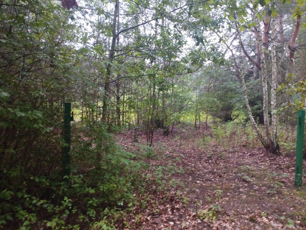 Działka budowlana Mieszkowo. Zdjęcie 3