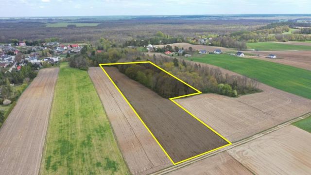 Działka rolna Pniewo. Zdjęcie 6