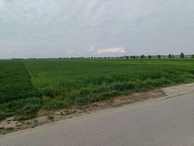 Działka budowlana Grodków, ul. Ogrodowa. Zdjęcie 1