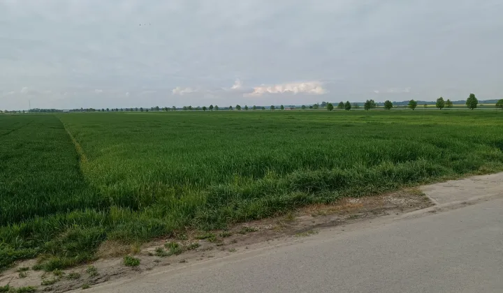 Działka budowlana Grodków, ul. Ogrodowa