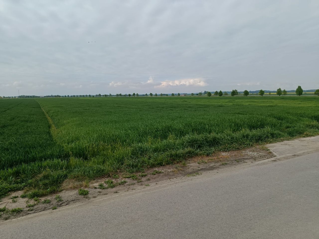 Działka budowlana Grodków, ul. Ogrodowa. Zdjęcie 1