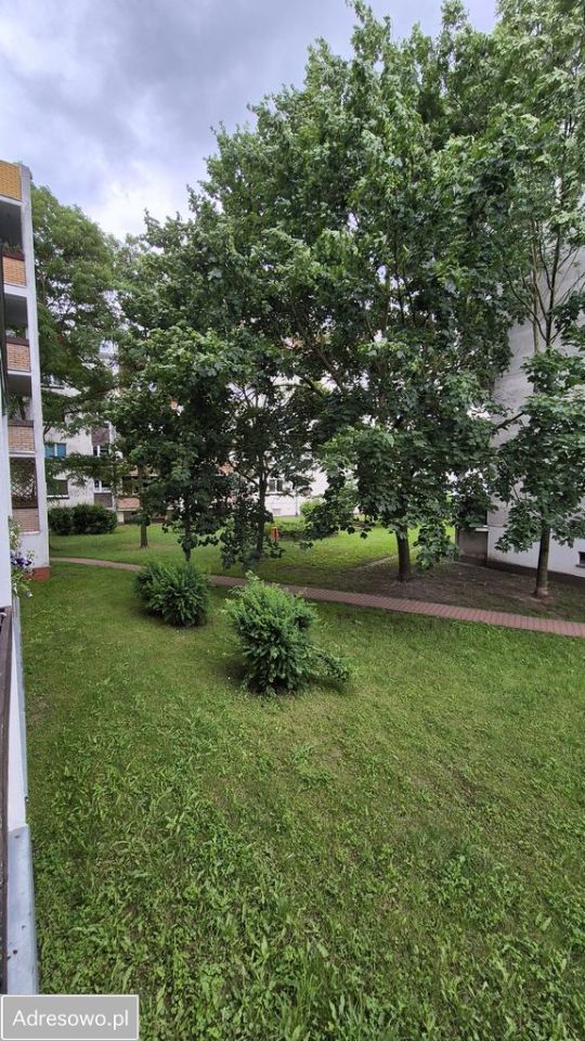 Mieszkanie 3-pokojowe Poznań Nowe Miasto, os. Przemysława. Zdjęcie 18