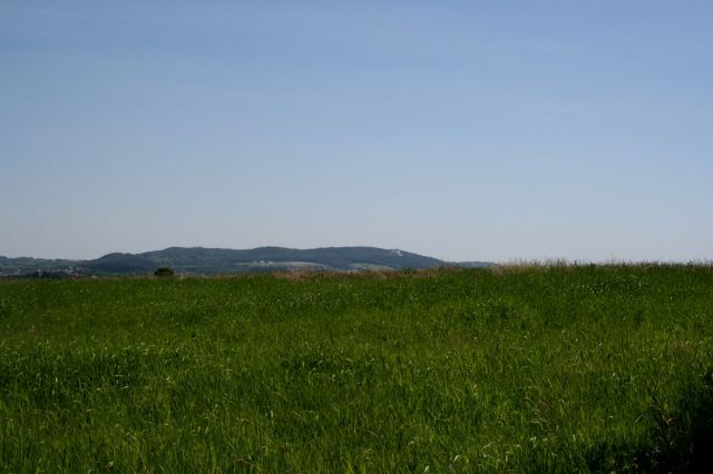 Działka rolna Rączna. Zdjęcie 1