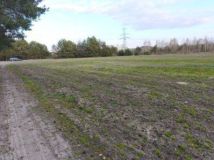 Działka budowlana Drzewociny. Zdjęcie 2