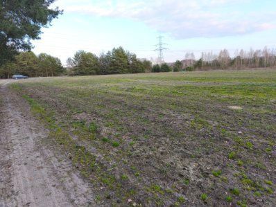 Działka budowlana Drzewociny. Zdjęcie 3