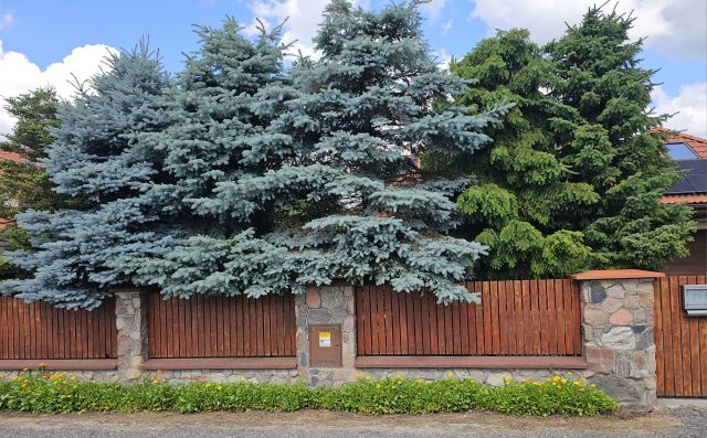 dom wolnostojący, 5 pokoi Borowa Góra, ul. Kameralna. Zdjęcie 30