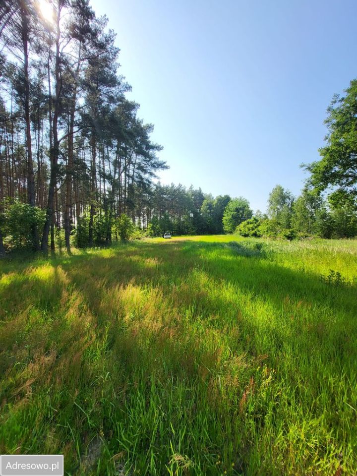 Działka budowlana Bledzew. Zdjęcie 5