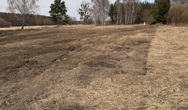 Działka budowlana Nekla, ul. Polna