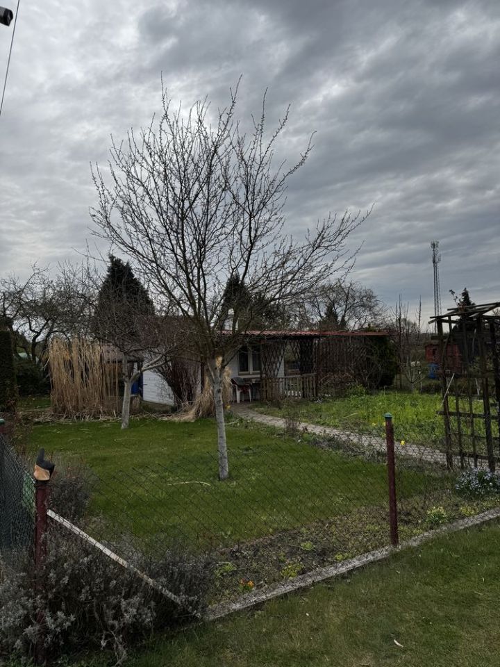 Działka rod Strzelce Opolskie, ul. Budowlanych. Zdjęcie 5