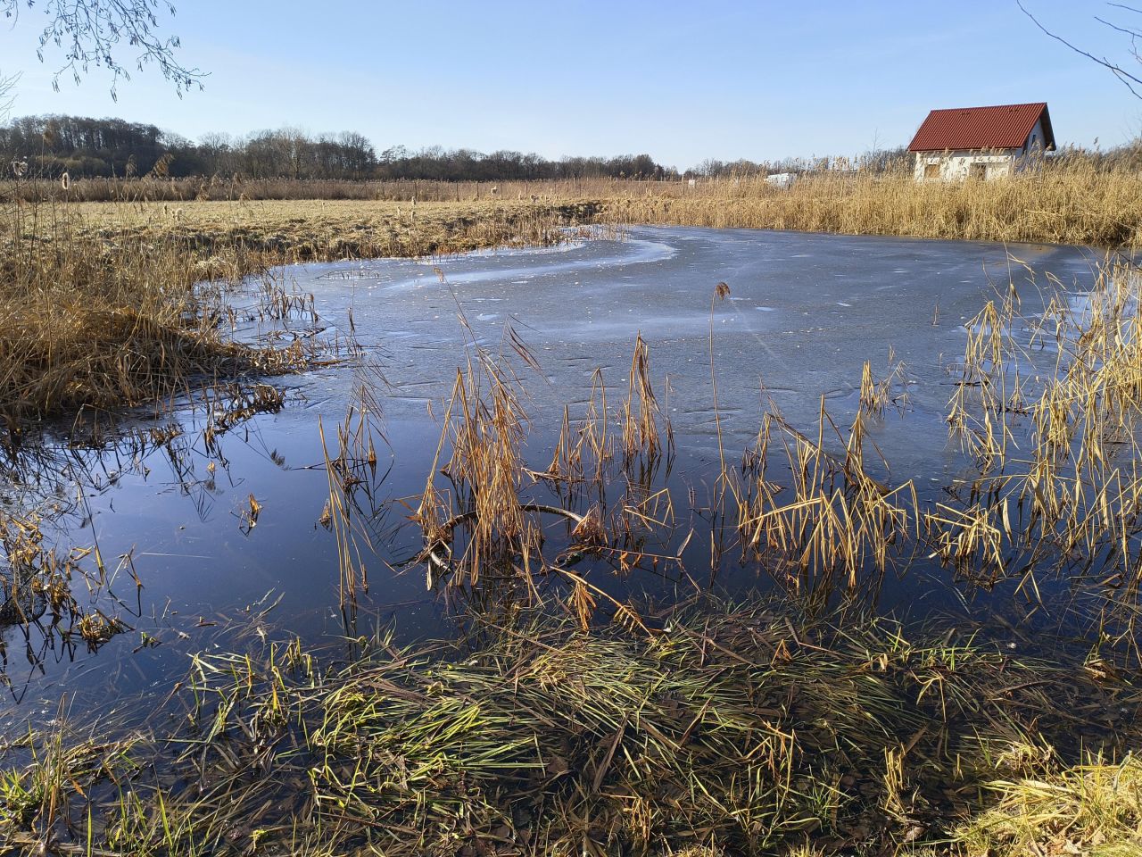 Działka budowlana Dobra, Dobra. Zdjęcie 2