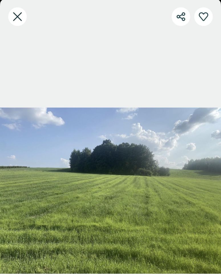 Działka rolna Szeligi Szeligi Górne, Szeligi. Zdjęcie 4
