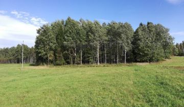 Działka leśna Stryjewo