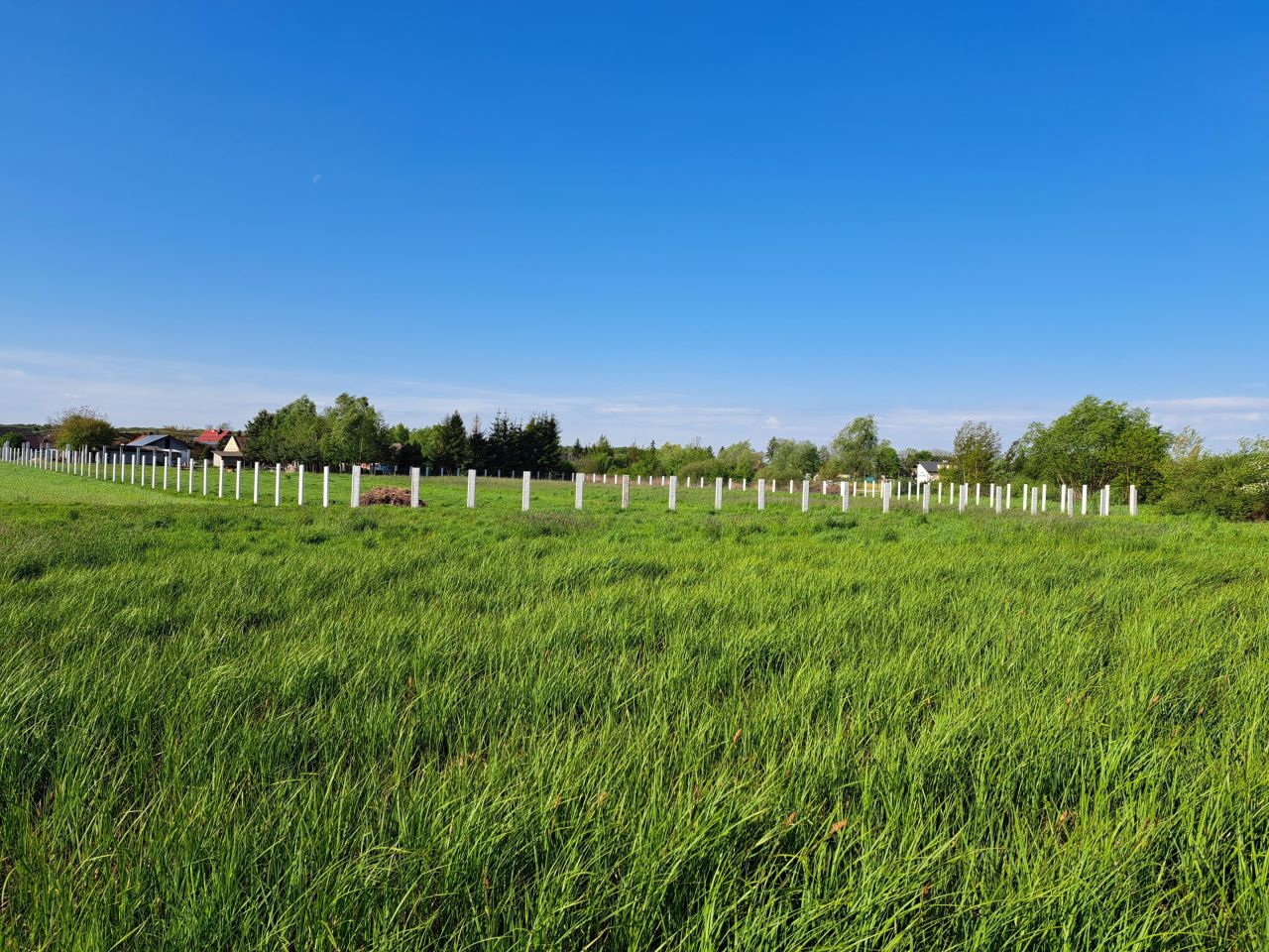 Działka budowlana Piwoda Hutki. Zdjęcie 7