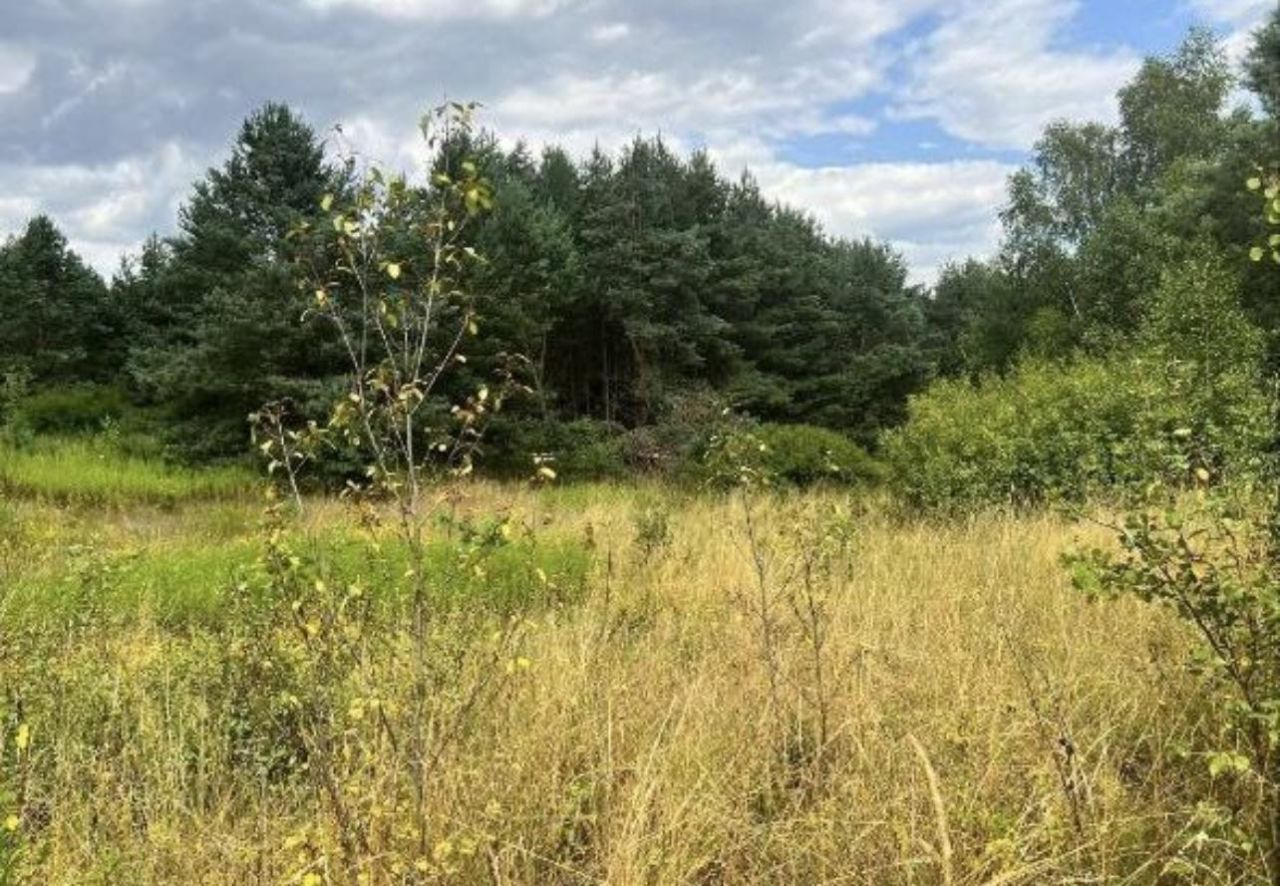 Działka rolna Janopol. Zdjęcie 4