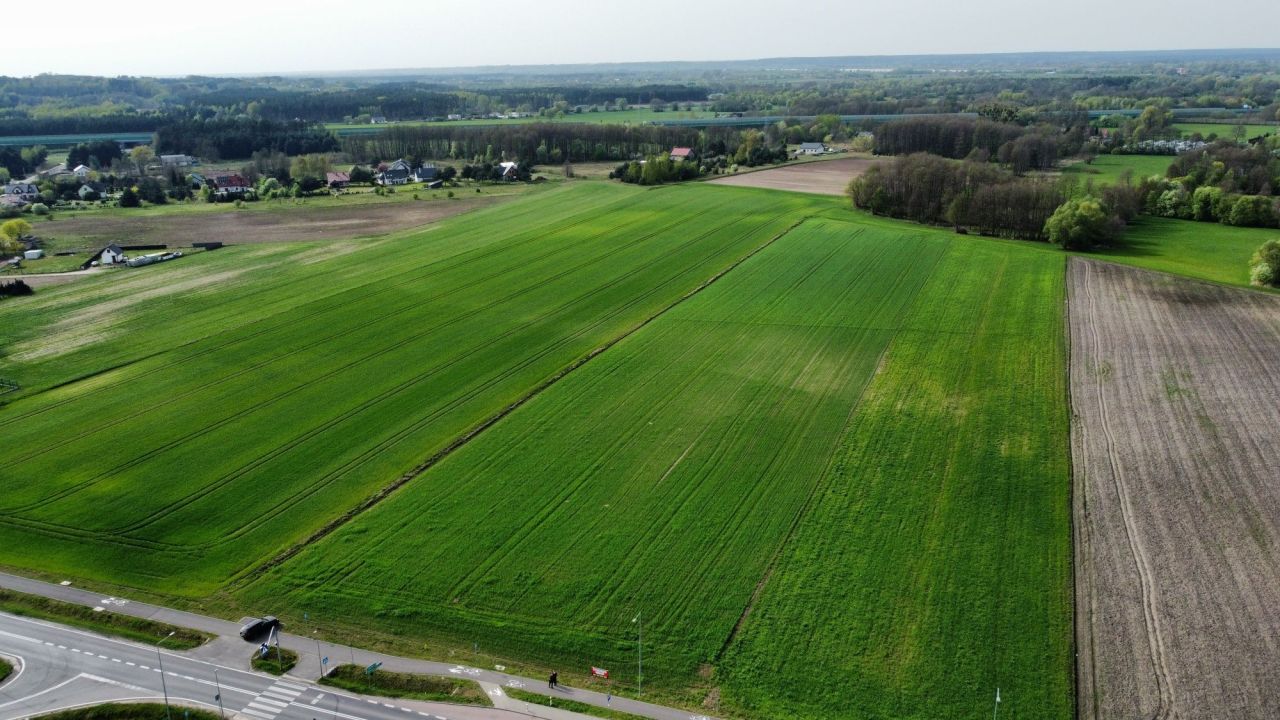 Działka budowlana Ruda. Zdjęcie 7