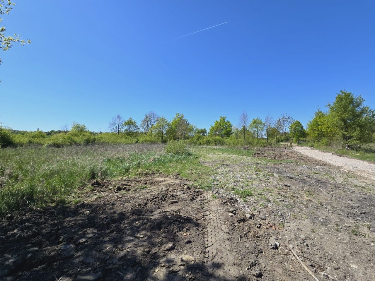 Działka budowlana Kożuchów. Zdjęcie 5