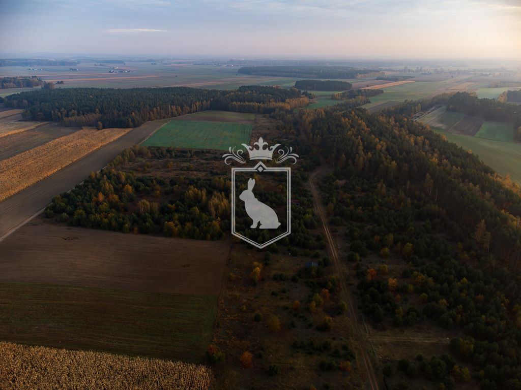 Działka budowlana Gnojno. Zdjęcie 12