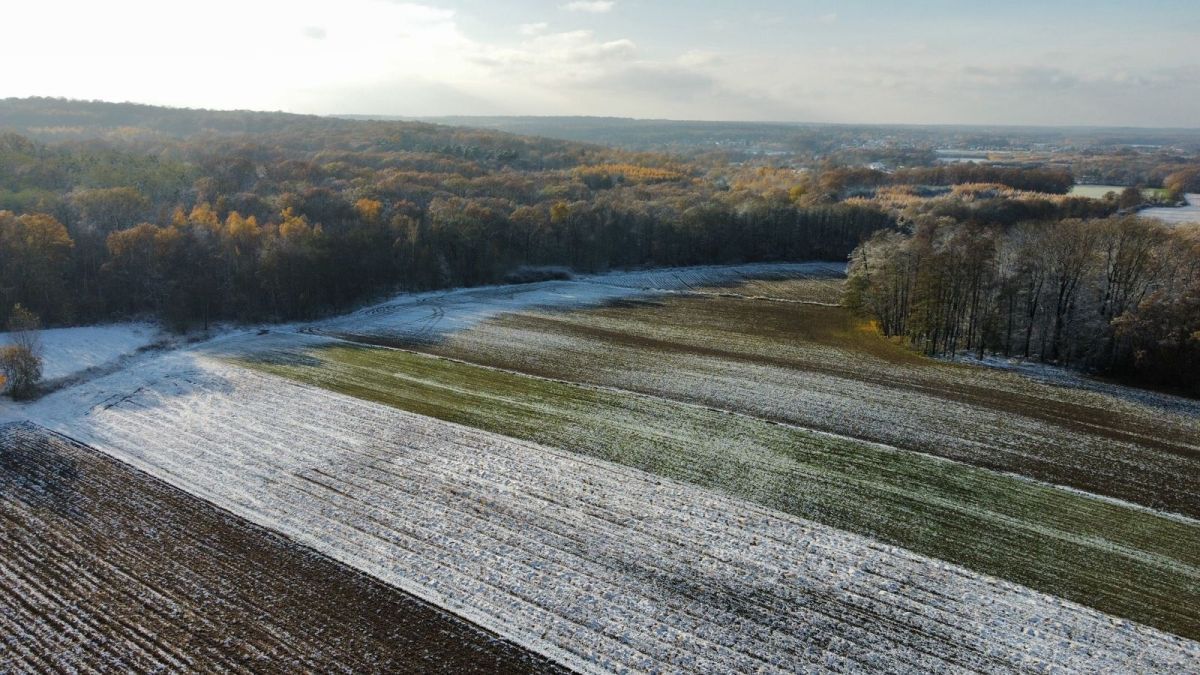 Działka inwestycyjna Prusice. Zdjęcie 5