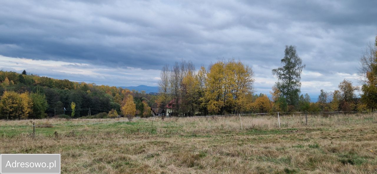 Działka budowlana Chocieszów. Zdjęcie 4