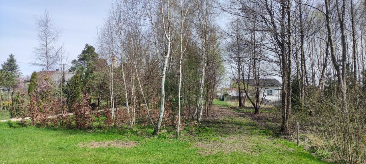 Działka rolna Stąporków. Zdjęcie 5