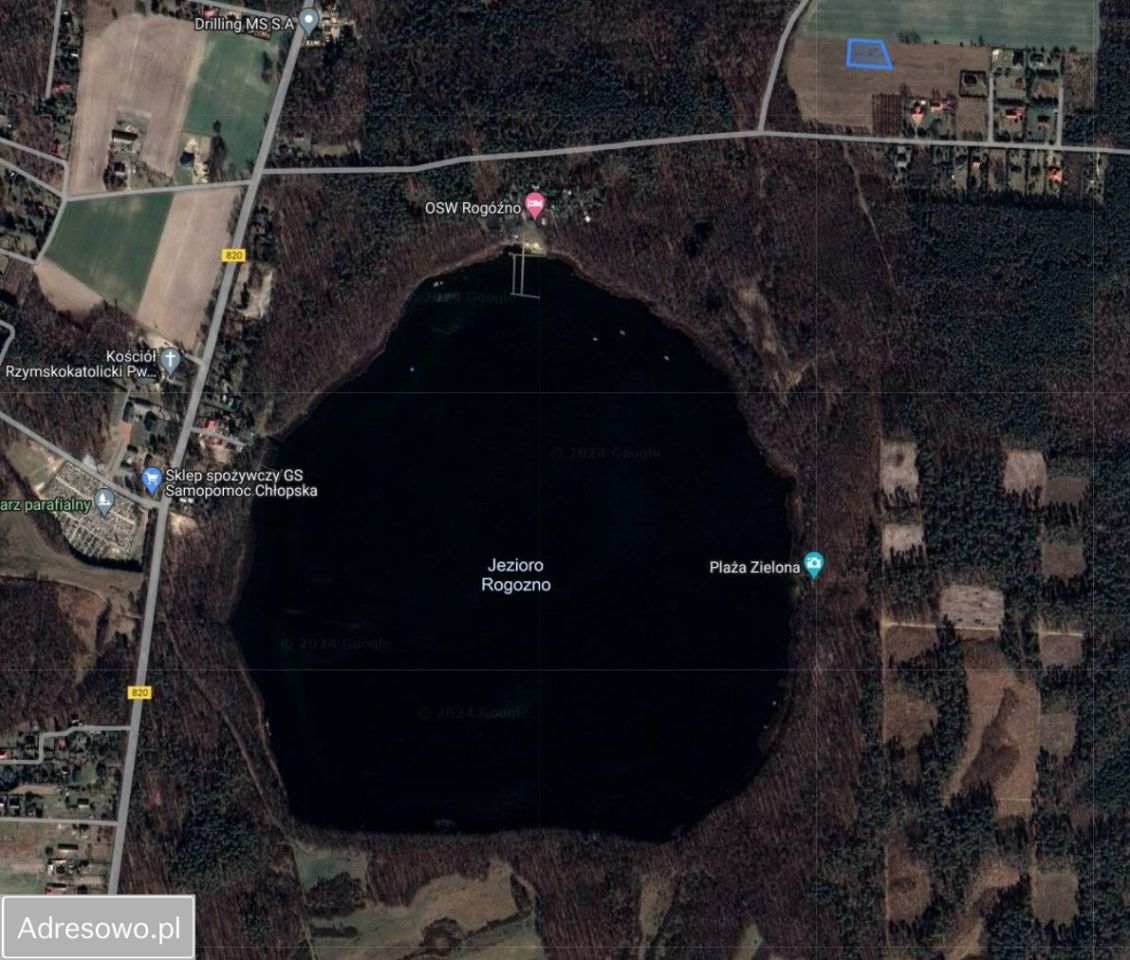 Działka rekreacyjna Rogóźno. Zdjęcie 6