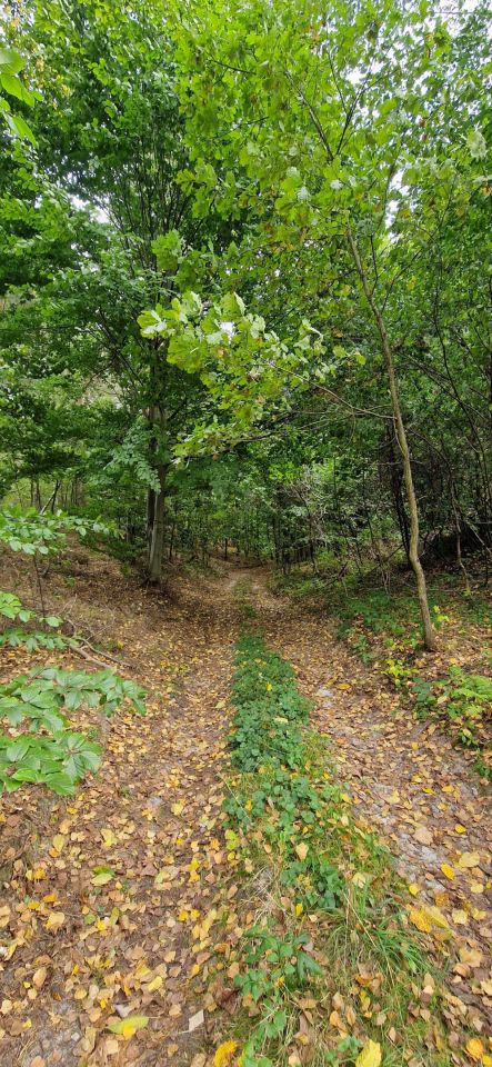 Działka budowlana Stara Huta. Zdjęcie 4