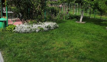 Działka rod Połaniec, ul. Działkowców