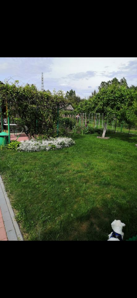 Działka rod Połaniec, ul. Działkowców. Zdjęcie 2