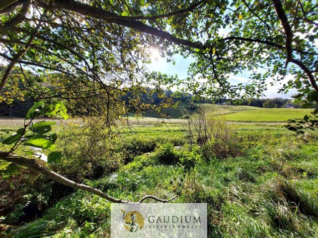 Działka Kobysewo. Zdjęcie 19