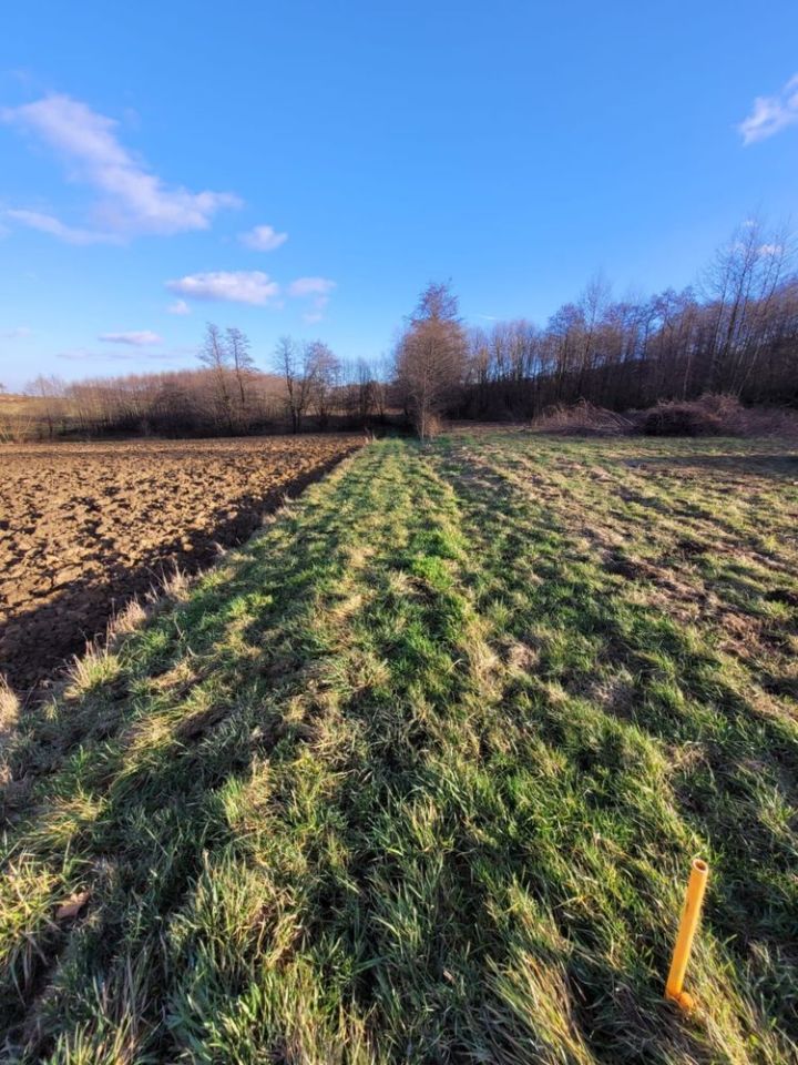 Działka rolna Inwałd, ul. Pod Ostrym Wierchem. Zdjęcie 6
