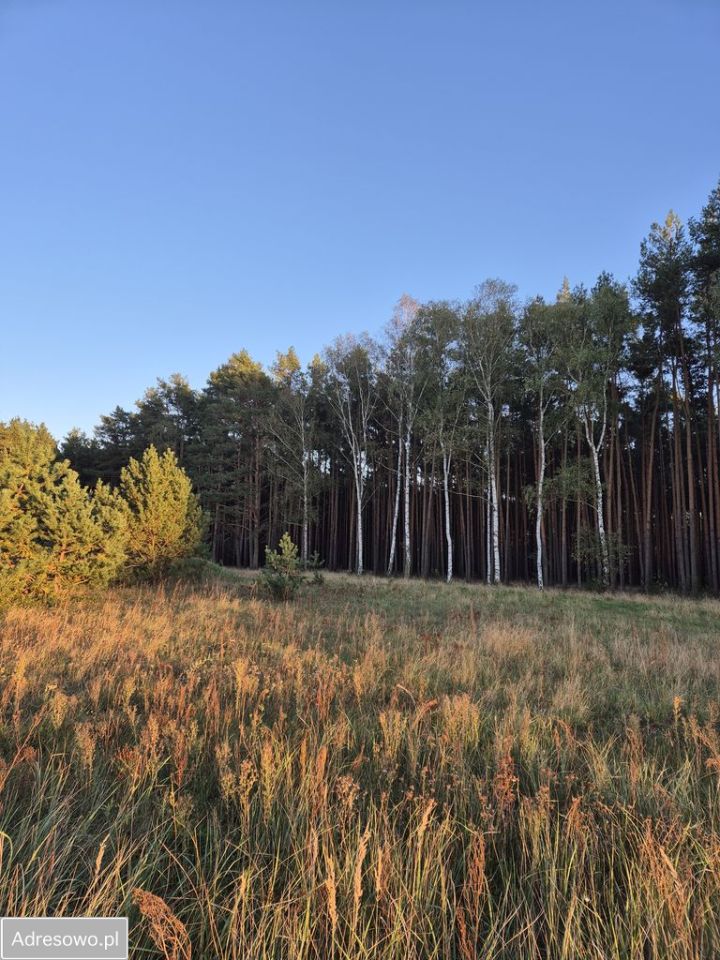 Działka budowlana Niedoradz. Zdjęcie 4