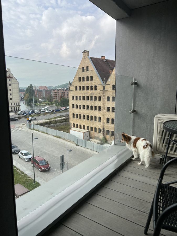 Mieszkanie 2-pokojowe Gdańsk Śródmieście, ul. Pszenna. Zdjęcie 4