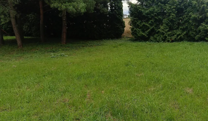 Działka budowlana Tczewskie Łąki, ul. Wałowa