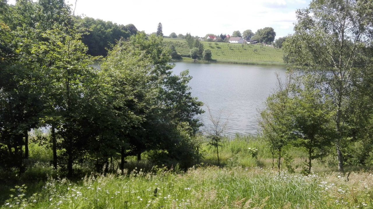 Działka budowlana Żabin. Zdjęcie 2