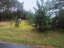 Działka rolno-budowlana Cisza. Zdjęcie 1