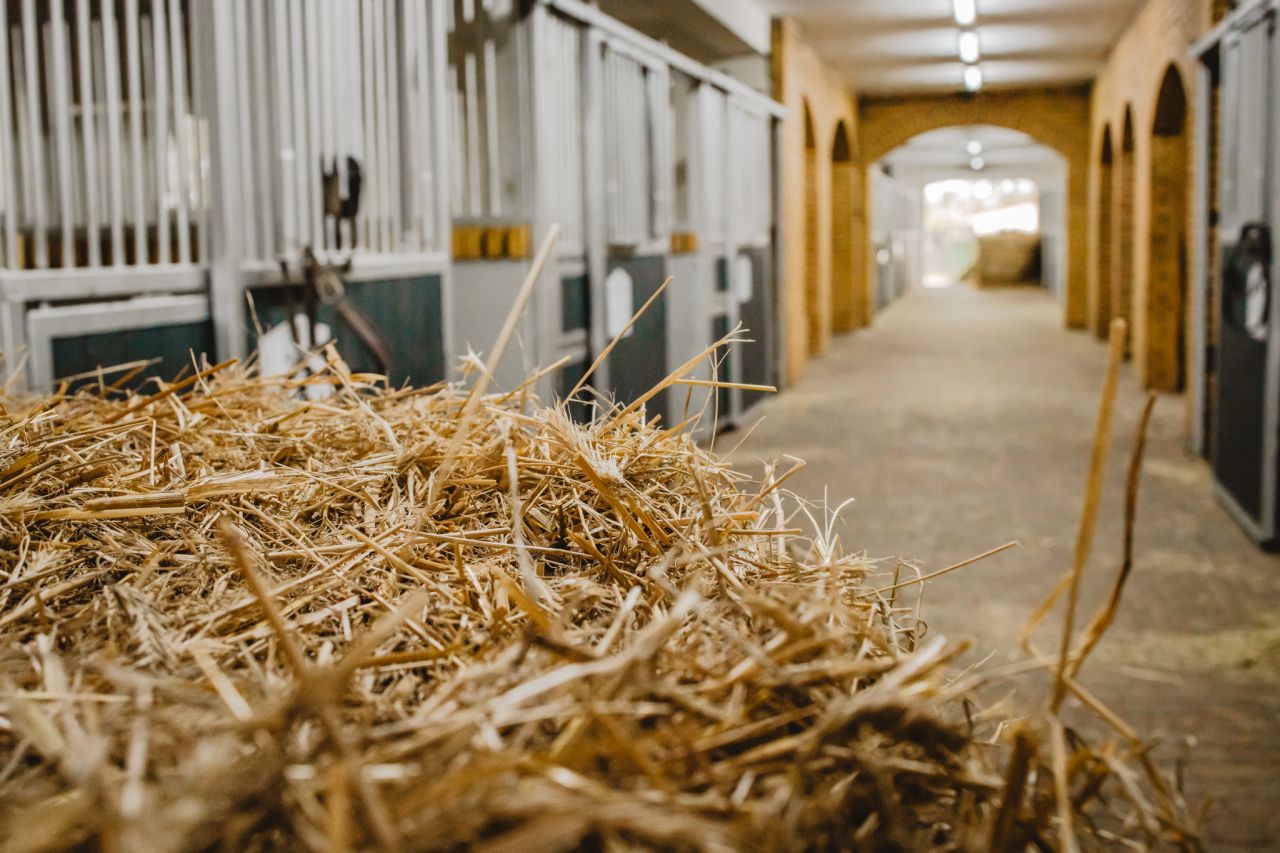 Nieruchomość komercyjna Kębliny, ul. Włościańska. Zdjęcie 10